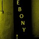 EBONY - No Power